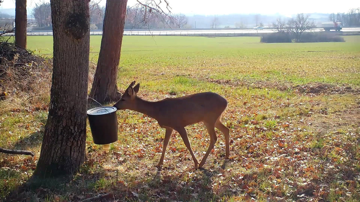 Visite surprise !!
