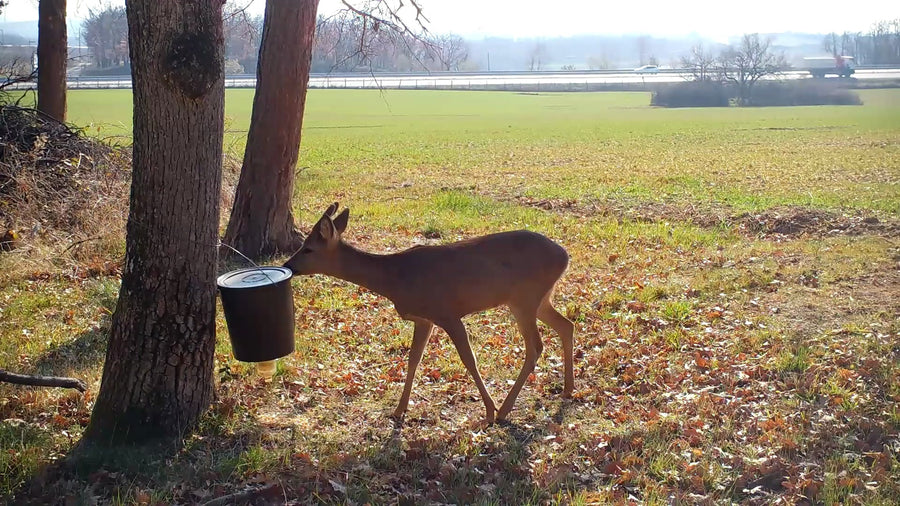 Visite surprise !!