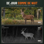 Vision nocturne de jour comme de nuit : vidéo Full HD 1080p en couleur le jour, en infrarouge dans le noir