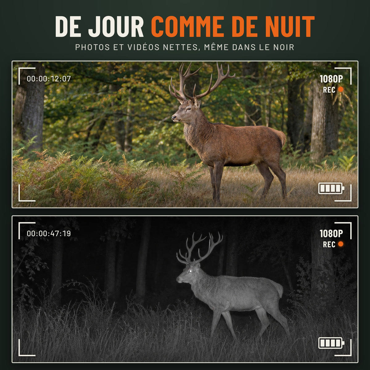 Vision nocturne de jour comme de nuit : vidéo Full HD 1080p en couleur le jour, en infrarouge dans le noir
