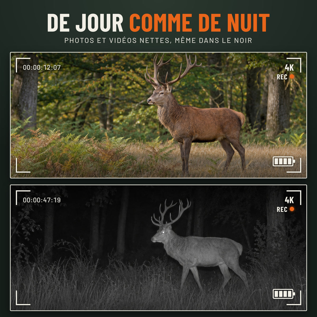 Vision nocturne de jour comme de nuit : vidéo 4K en couleur le jour, en infrarouge dans le noir