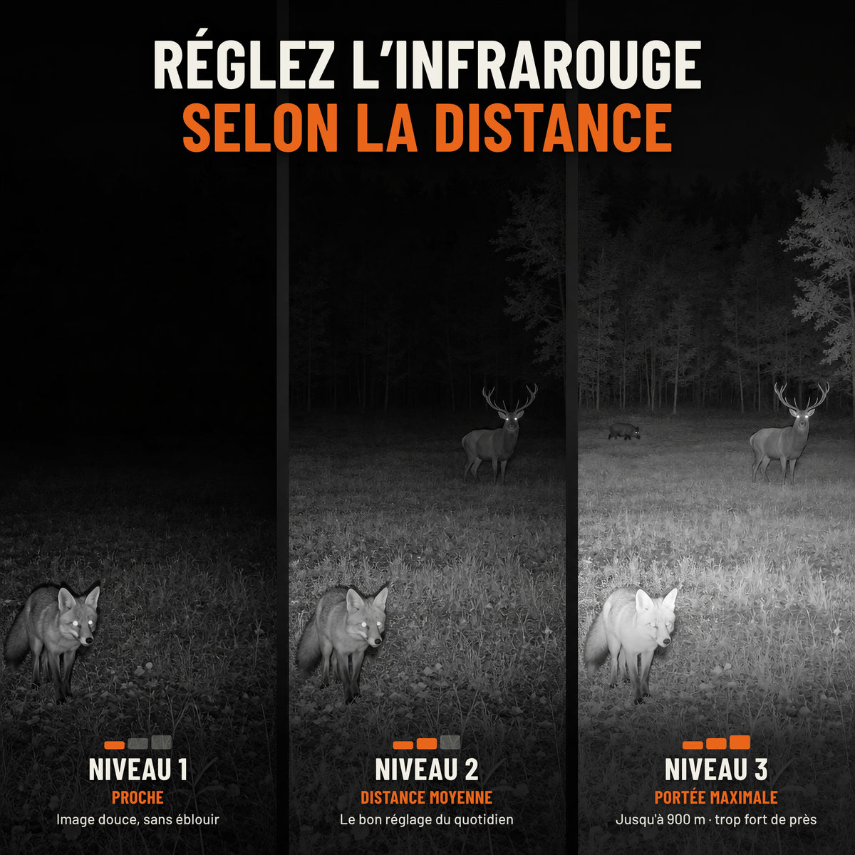Infrarouge réglable sur 3 niveaux selon la distance : niveau 1 pour un animal proche, niveau 2 à moyenne distance, niveau 3 pour la portée maximale jusqu'à 900 m, avec un renard, un cerf et un sanglier la nuit