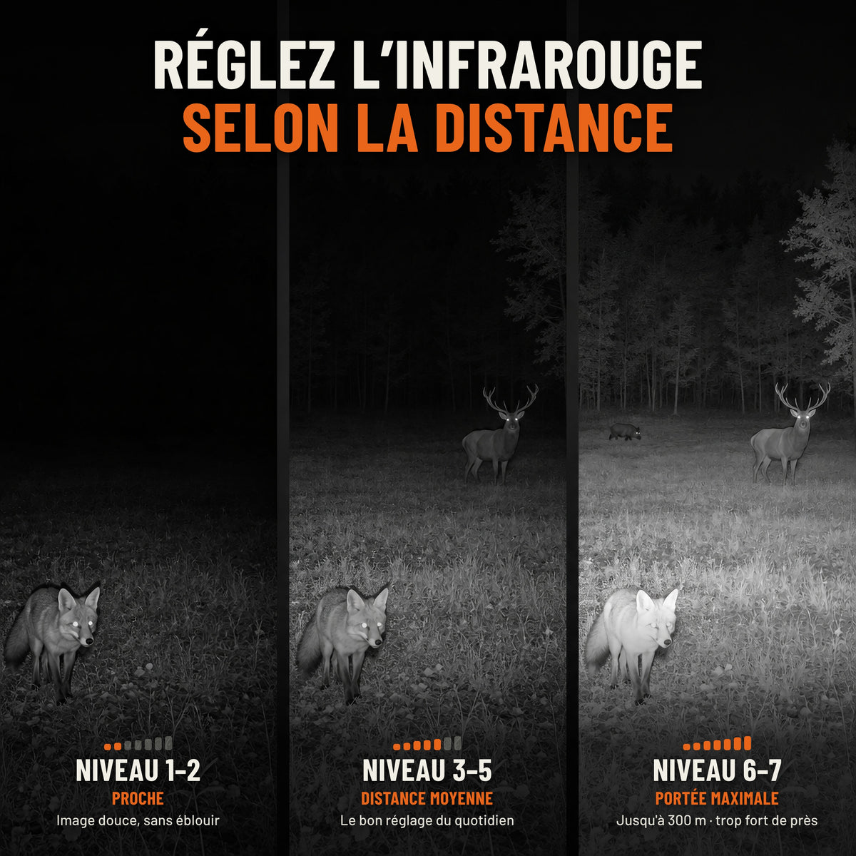 Infrarouge réglable sur 7 niveaux selon la distance : niveaux 1-2 pour un animal proche, 3-5 à moyenne distance, 6-7 pour la portée maximale jusqu'à 300 m, avec un renard, un cerf et un sanglier la nuit