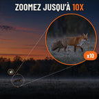 Vision nocturne avec zoom jusqu'à 10X : renard repéré au loin en lisière au crépuscule et vue agrandie