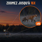 Vision nocturne avec zoom jusqu'à 16X : renard repéré au loin en lisière au crépuscule et vue agrandie