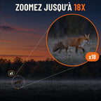 Vision nocturne avec zoom jusqu'à 18X : renard repéré au loin en lisière au crépuscule et vue agrandie